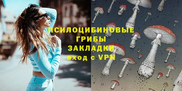 спиды Аркадак